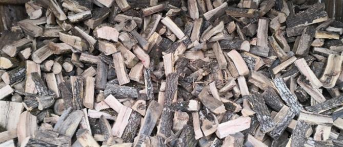 Θεσσαλονίκη: Κόβουν ξύλα από ξένα χωράφια για το τζάκι τους