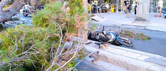 Ηράκλειο: θρήνος για τον οδηγό μηχανής που καταπλακώθηκε από δέντρο (εικόνες)