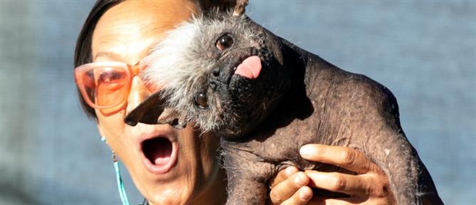 “Happy face”: Ο πιο άσχημος σκύλος του κόσμου για το 2022 (εικόνες)