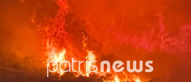 Φωτιά στην Ηλεία: Ολονύχτια μάχη με τις φλόγες (εικόνες)